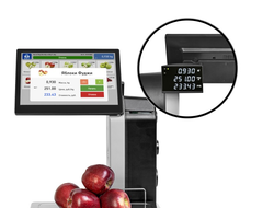 Дублирующий дисплей (МАССА К MK_S2L 12)