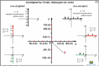 Функции. Их свойства и графики  (20 шт), комплект кодотранспарантов (фолий, прозрачных пленок)