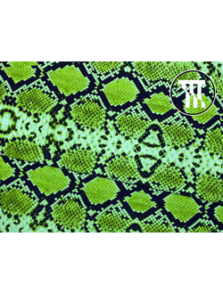 Спортивный трикотаж принт Питон, цв. Зеленый