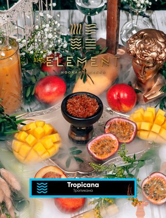 Табак Element Tropicana Тропикана Вода 200 гр