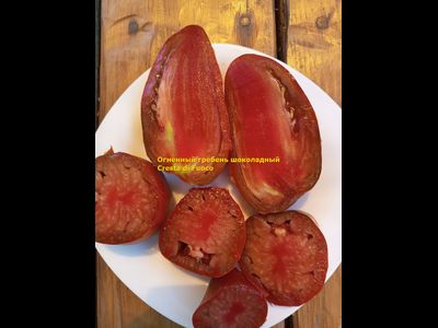 Томат Огненный гребень (Cresta di Fuoco) шоколадный, Италия