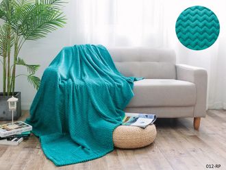 Плед Cleo ROYAL PLUSH евро велсофт 200х220 200/012-RP