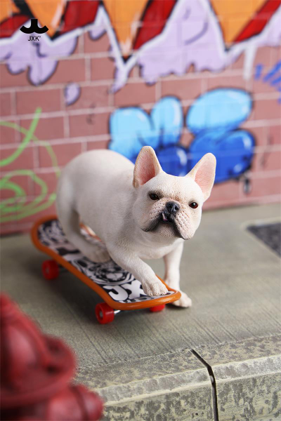 Французский бульдог на скейте (белый) - Коллекционная фигурка 1/6 Skateboard French Bulldog (JXK243A) - JXK