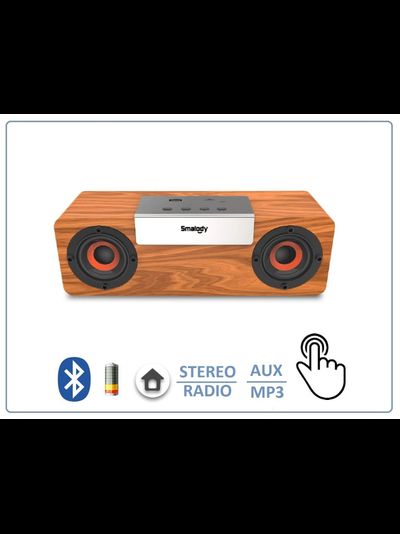 SMALODY SL-50S Bluetooth колонка СТЕРЕО, радио FM, с аккумулятором для использования в помещении