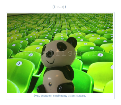 Видеоняня Panda WiFi-LAN видеокамера с DVR , HD (MIPC)