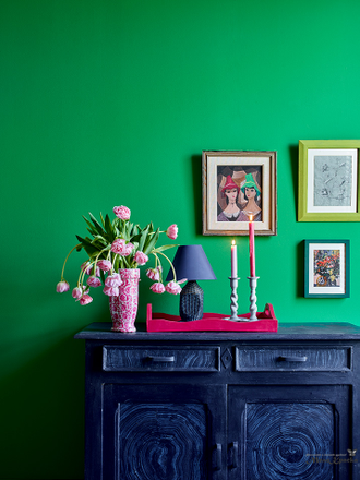 schinkel-green-wall-paint-kraska-dlya-sten-i-potolka_03