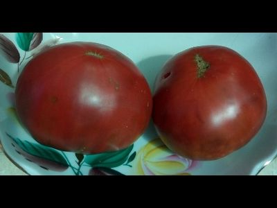 Томат Большая зеленая роза (Grosse Verte Rose)