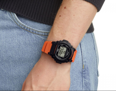 Часы Casio W-219H-4A