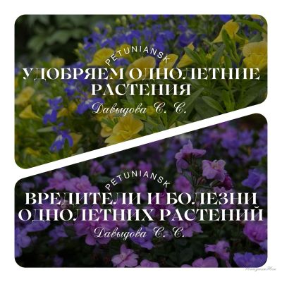 Два руководства: удобрения однолетних растений и вредители и болезни однолетних растений
