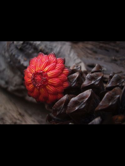 Кольцо "Цветок осеннего Солнца"