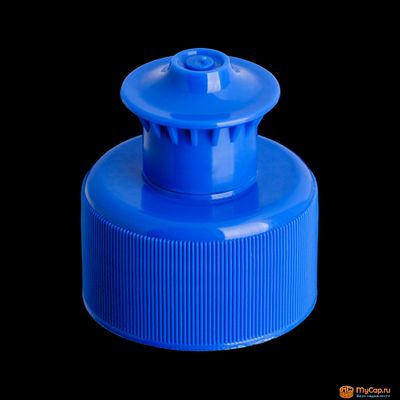 Колпачок пуш-пул Раф 28/410