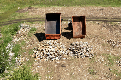 Дрова березовые колотые ГАЗель 2,5 м3