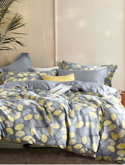 Постельное белье TANGO семейное сатин 160x210x2 230x250x1 50x70x2 TS05-X206-70