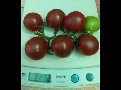 Томат Фиолетовая яшма (Цзы-Ю, Tci U, Китай)