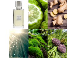 EX NIHILO The Hedonist