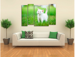 Модульная картина "Летний котенок"