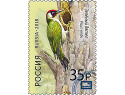 Магнит. Дятлы. Зелёный дятел