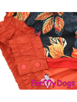 Дождевик Листья красный