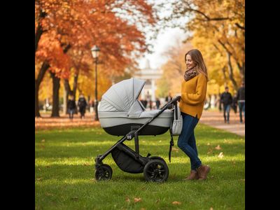 Детская коляска 3 в 1 Farfello Molly Trio Серый