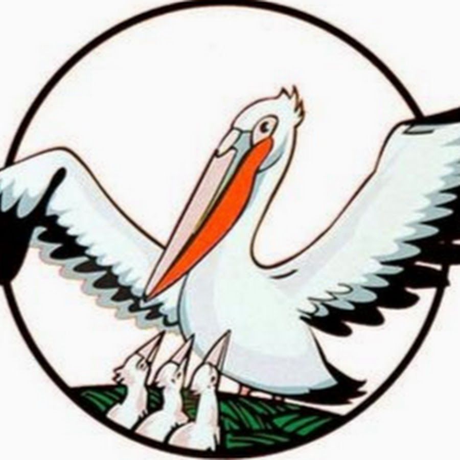 Пеликан символ учительства картинки