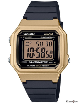 Часы Casio W-217HM-9AVEF