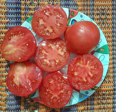 Томат Дендрера (Dendrera, Испания)