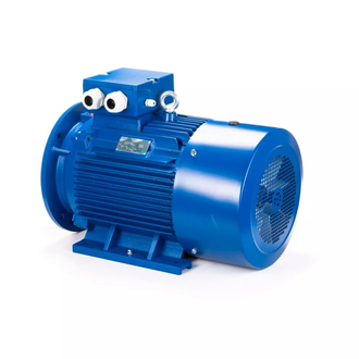 Электродвигатель АИС 160L4 (15 кВт) IM B35