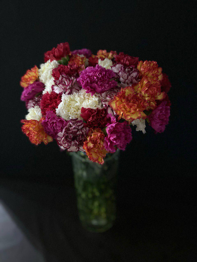 Гвоздика 35 шт