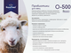 Пробиотики для овец O-500