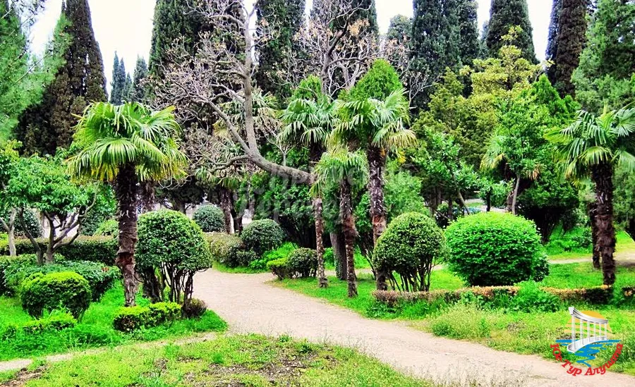 парк в Симеизе