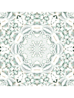 Цифровой коллаж "Мороз", коллекция "Времена года"