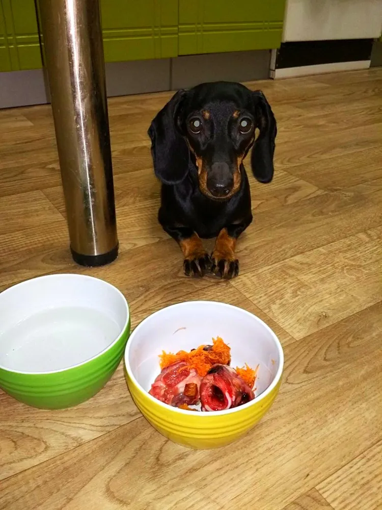 Хозяйка Светлана: "Большое спасибо за вкусный ужин!" 