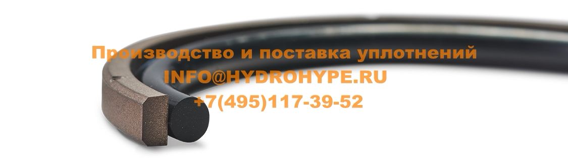 Двусоставное плоршневое уплотнение из форопласта(PTFE) и кольца круглого сечения O-Ring