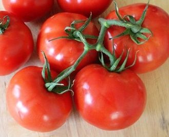 семена томаты "Катя"