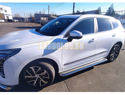 Пороги с накладным листом Папа Тюнинг d53 для Haval Jolion 2024-