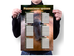 Расписание уроков вертикальное Капибара, Kapibara-san №26