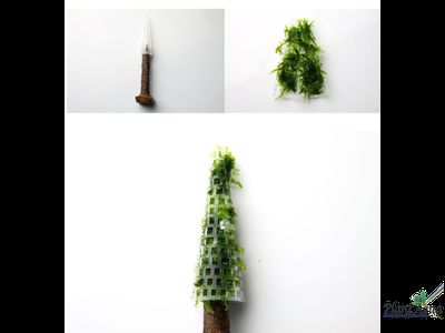Декорация для мха Christmas Tree (дерево)