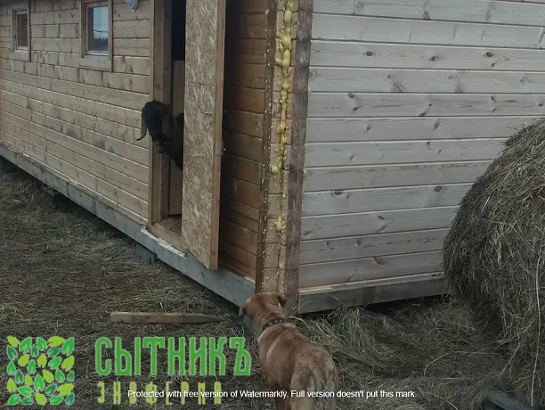 Живое фермерское хозяйство в МО