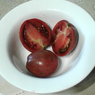 Семена томата Грааль, Гном