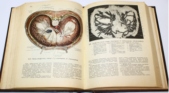 Синельников Р.Д. Атлас анатомии человека. В 2-х томах. М. Медгиз, 1952-1958.