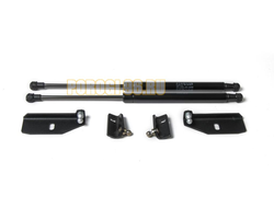 Амортизаторы капота, 2 шт. Rival для Datsun mi-DO I 2015-