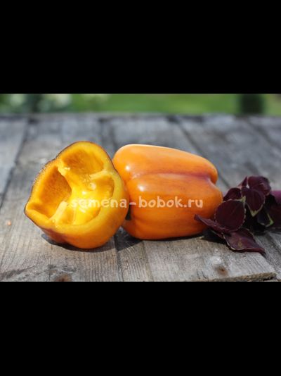 Перец сладкий Млечный путь, 10 шт.