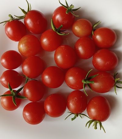 Томат черри Спокуса (Spocusa). Польша