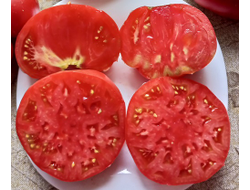 Томат Подземная железная дорога тётушки Лу (Aunt Lou’s Underground Railroad)