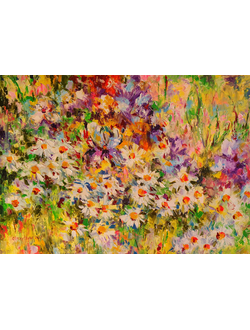 Ирисы и ромашки