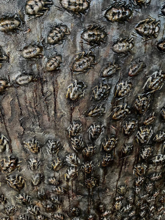 Decorative panel with beetles