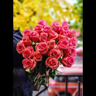 Роза Эквадор "Антик" 50 см 25 шт