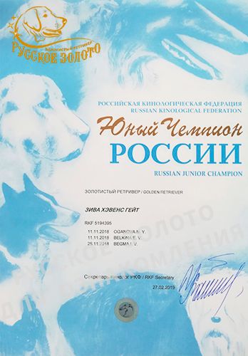 Диплом "Юный Чемпион России"