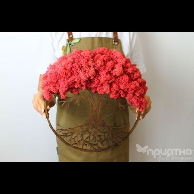 ЖИВАЯ ЭКО-КАРТИНА 1026