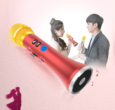 Караоке- микрофон L-1258 DSP 20W